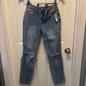 Pacsun Vintage Icon Jeans (New With Tags)